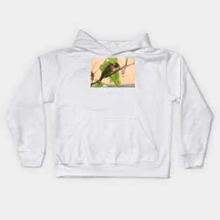 Rainbow Lorikeet Kids Hoodie